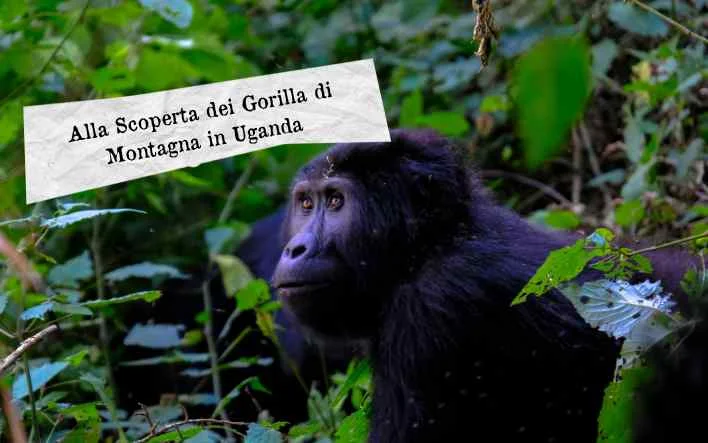 Foto Blog Copertina 708x443  6 